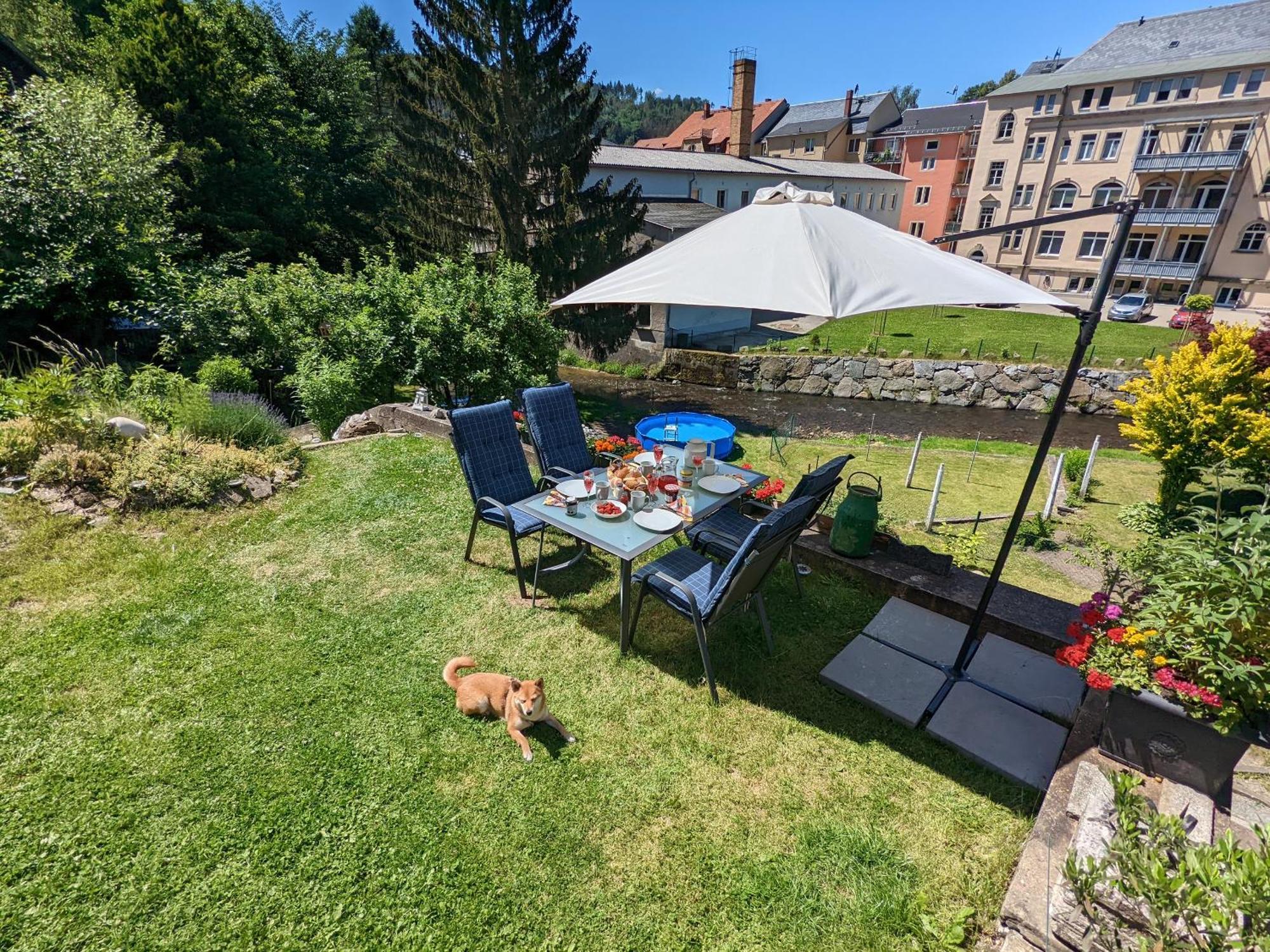 Uo - Urlaubsmagie - Helle Wohnung,Sauna,Whirlpool Sebnitz Extérieur photo