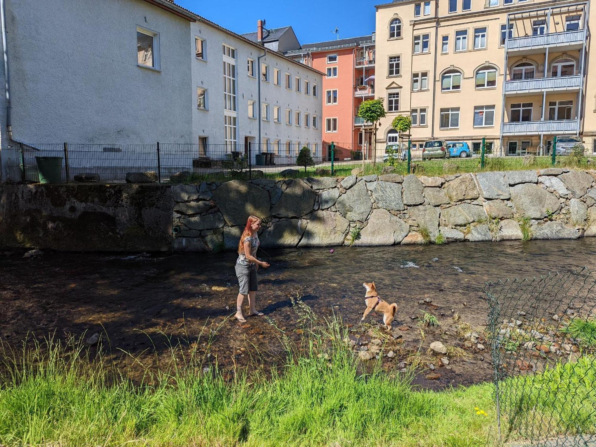 Uo - Urlaubsmagie - Helle Wohnung,Sauna,Whirlpool Sebnitz Extérieur photo